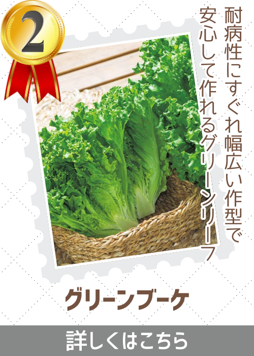 グリーンブーケ