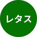 レタス