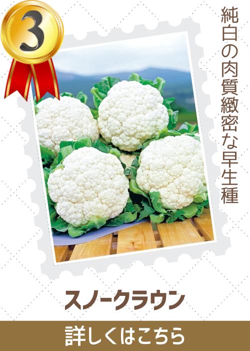 スノークラウン