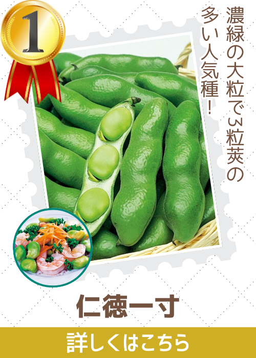 仁徳一寸蚕豆