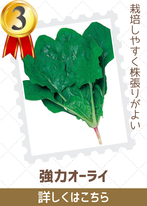強力オーライ法蓮草