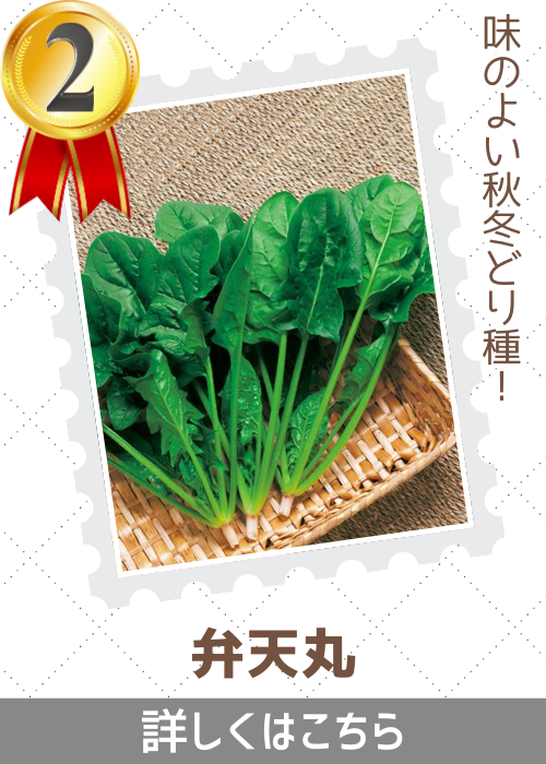 弁天丸法蓮草