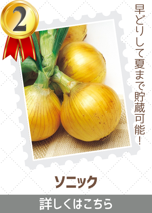 ソニック玉葱