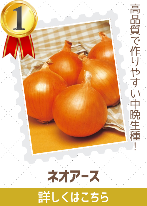 ネオアース玉葱