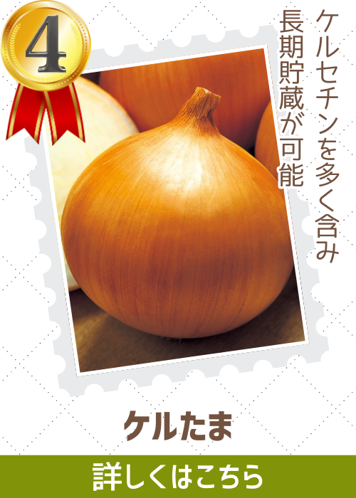 ケルたま玉葱