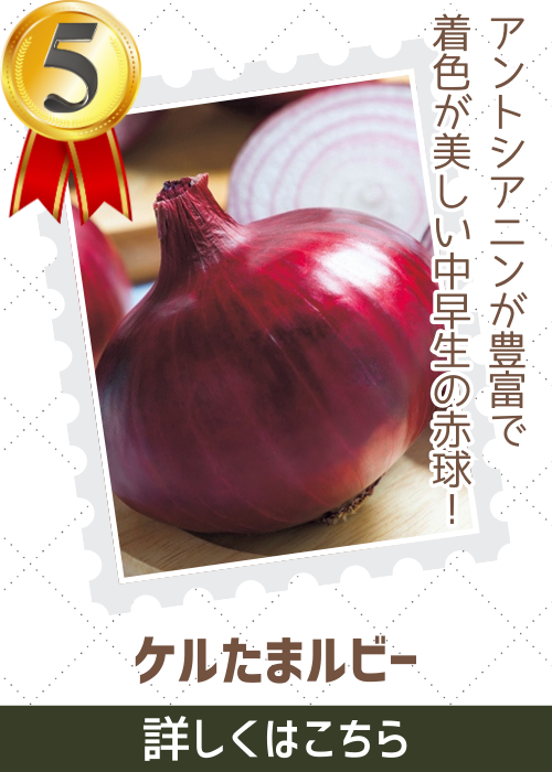 ケルたまルビー玉葱