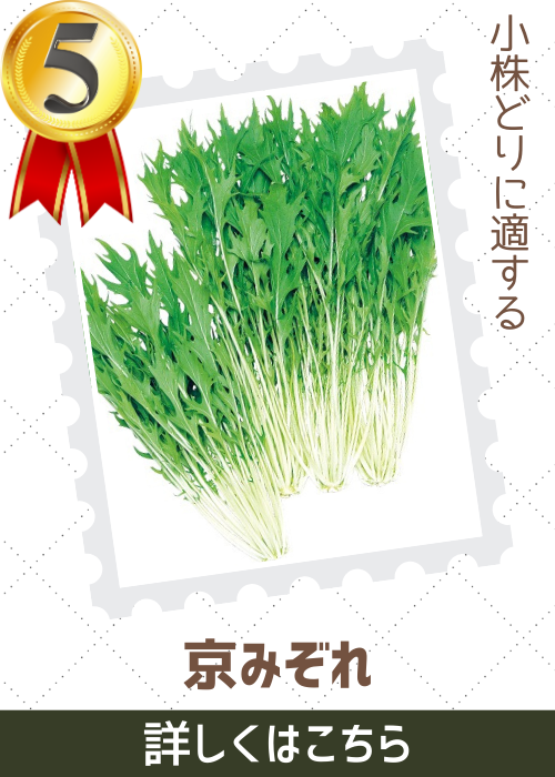 京みぞれ水菜