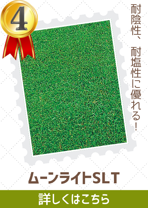 ムーンライトＳＬＴ