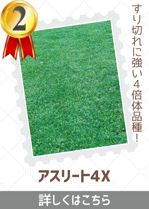 アスリート４Ｘ