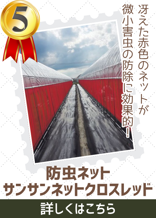 通販Ｓネットクロスレッド