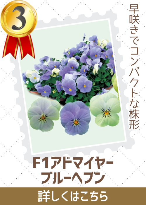 ブルーヘブン