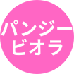パンジー、ビオラ
