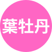 葉牡丹