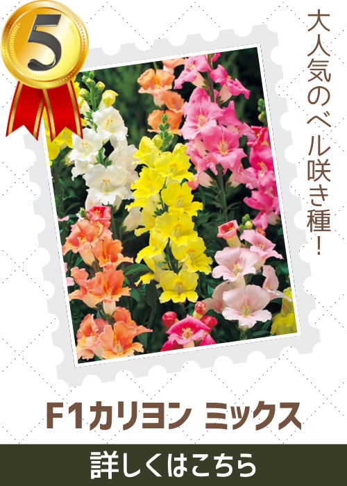 カリヨンミックス