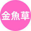 金魚草