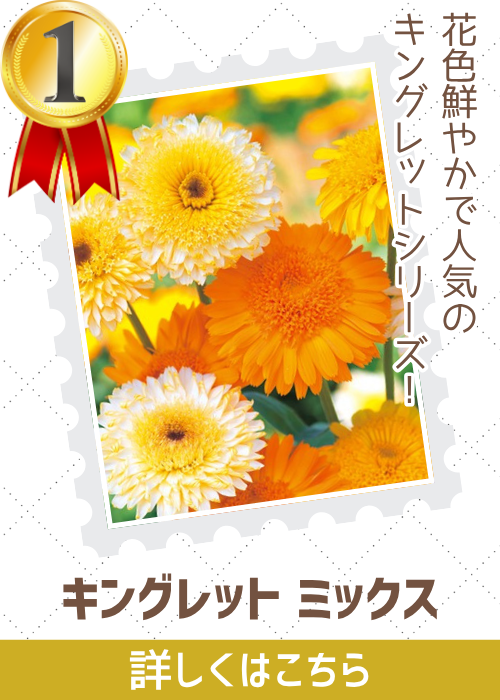 キングレットミックス