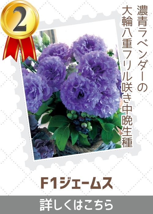 ジェームス