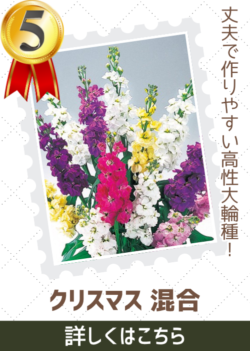 クリスマス混合