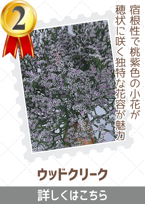 ウッドクリーク　
