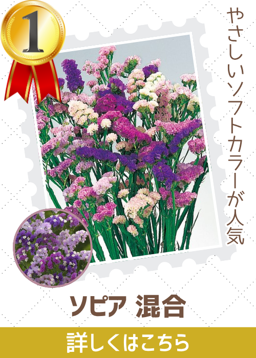 ソピア混合