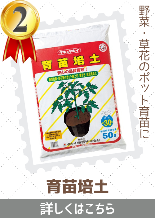 育苗培土