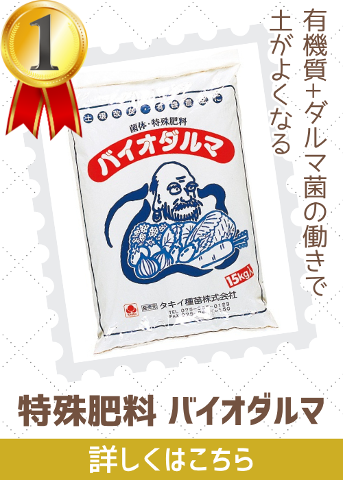 バイオダルマ