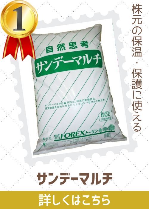 サンデーマルチ