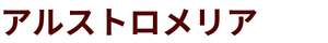 アルストロメリア