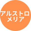 アルストロメリア