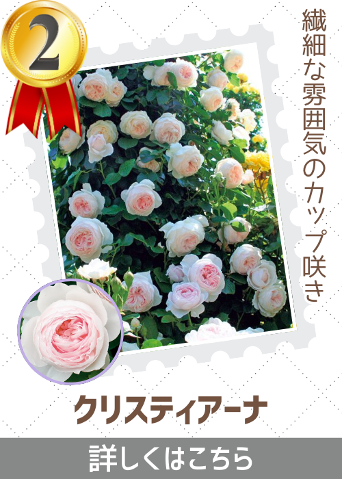 クリスティアーナ