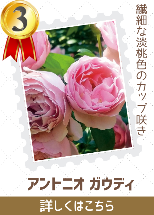 アントニオガウディ