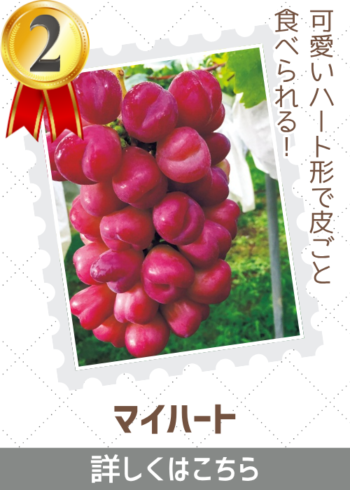 マイハート