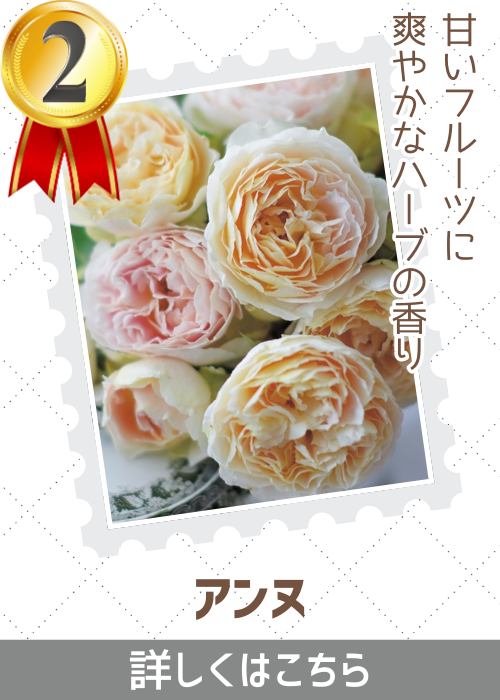 アンヌ