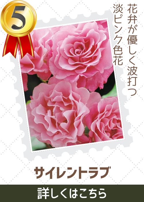 サイレントラブ
