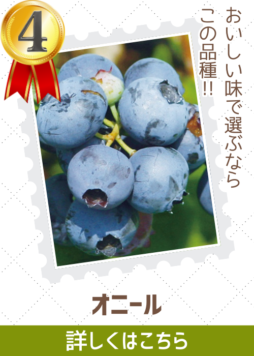 オニール