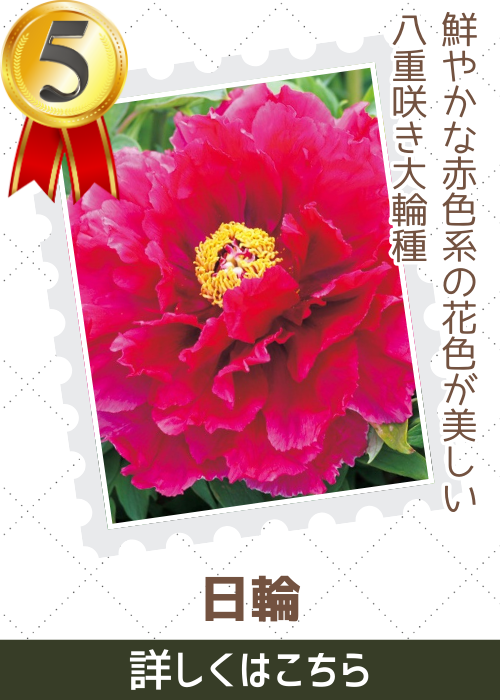 日輪