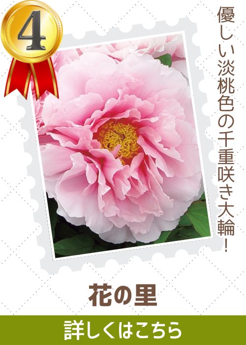 花の里