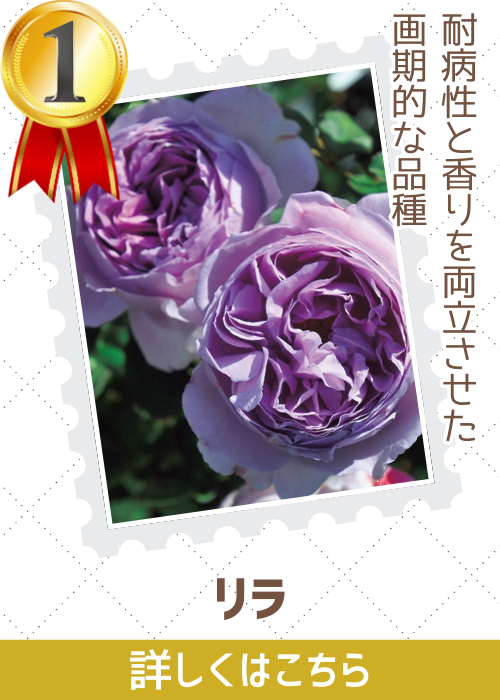 リラ
