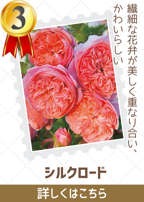 シルクロード