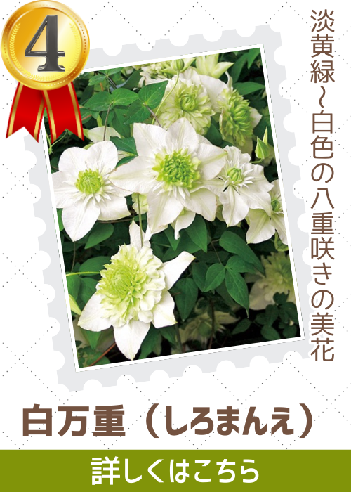 白万重