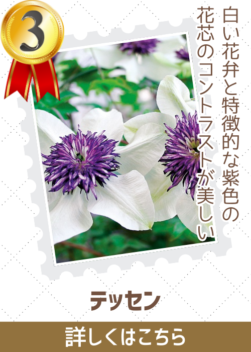 テッセン