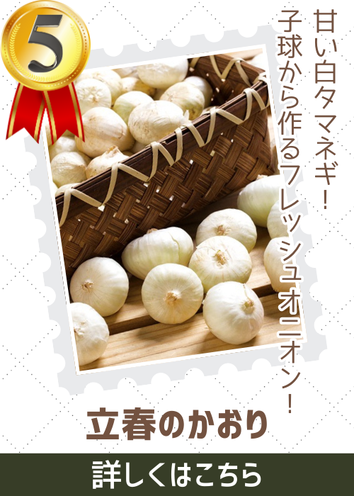 立春のかおり