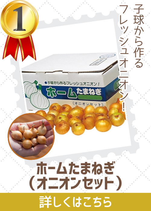 ホームたまねぎ