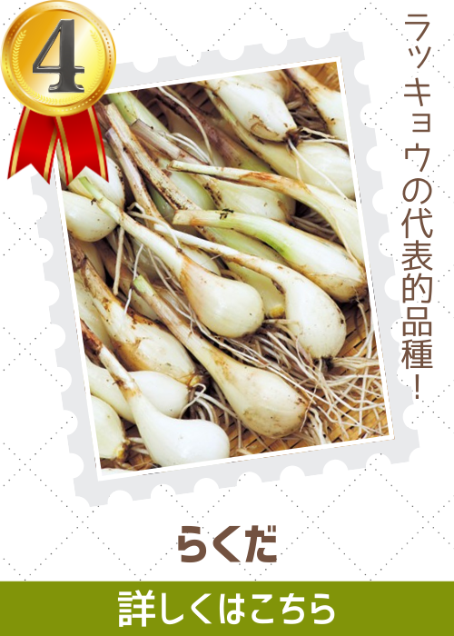 らくだ