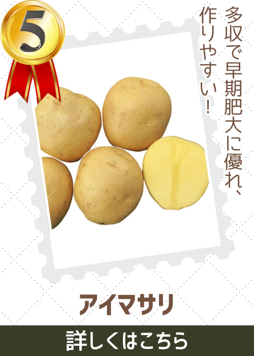アイマサリ