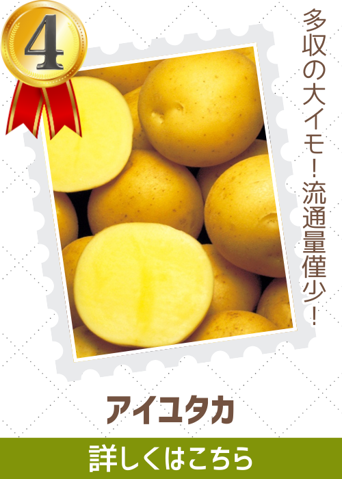 アイユタカ