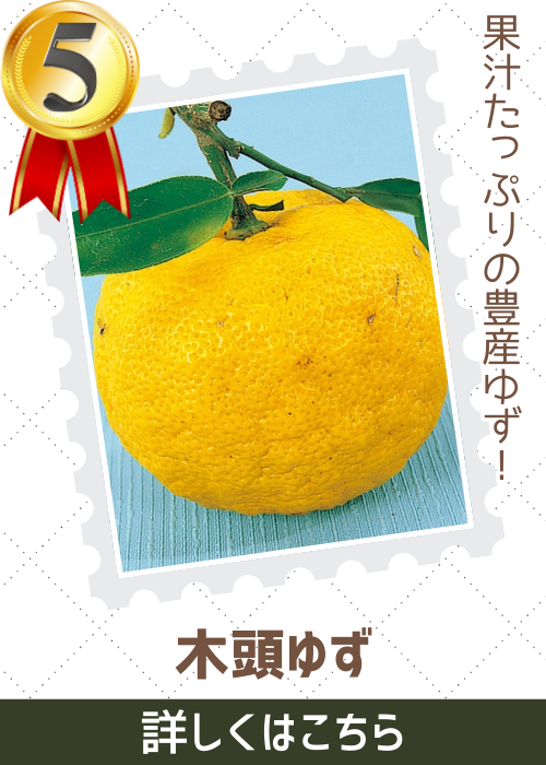 木頭ゆず
