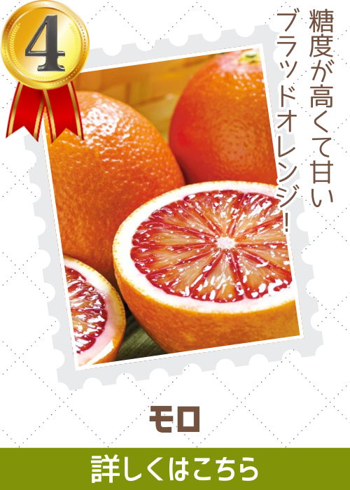 モロ