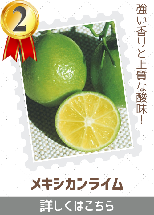 メキシカンライム