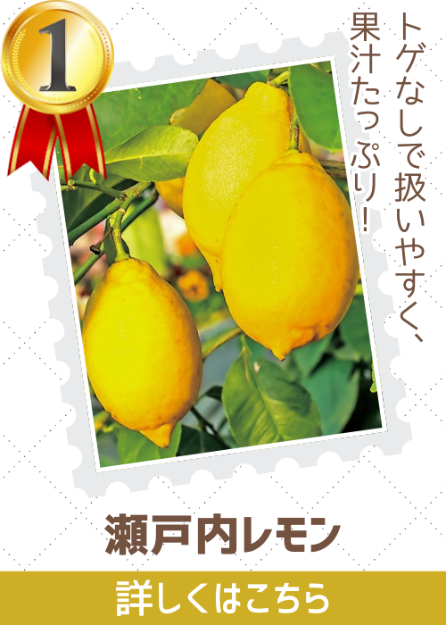 瀬戸内レモン　